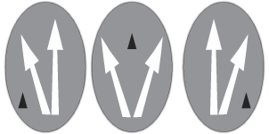 K53 LEARNER LICENCE